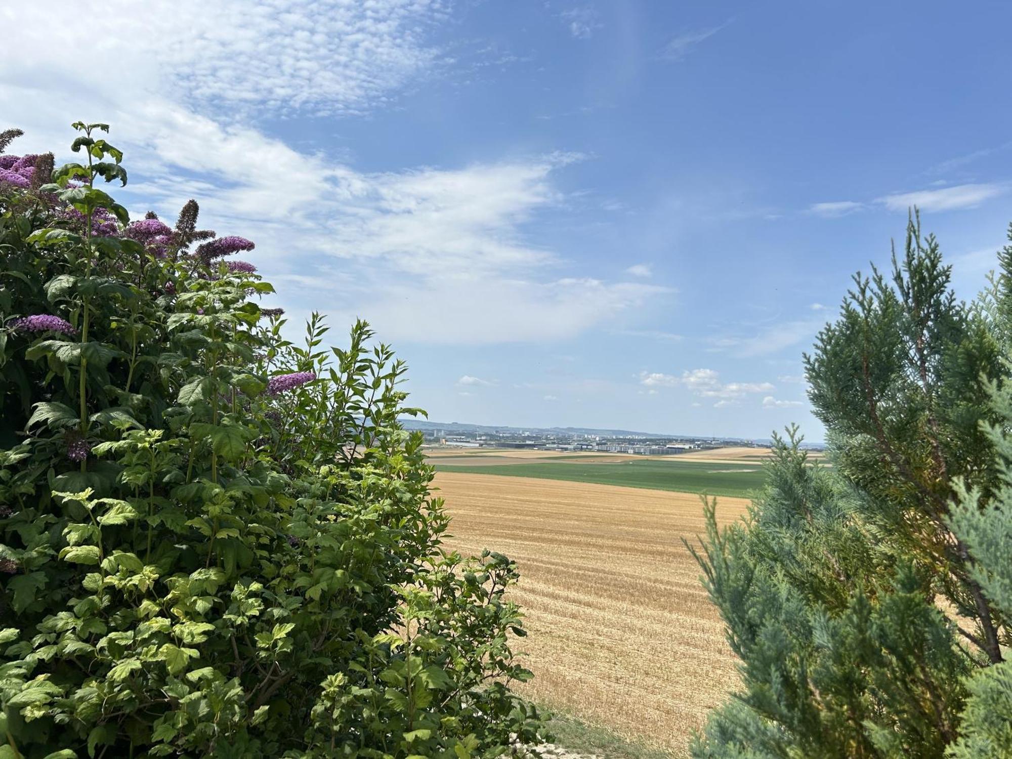 Вілла Happy Cernay-les-Reims Екстер'єр фото