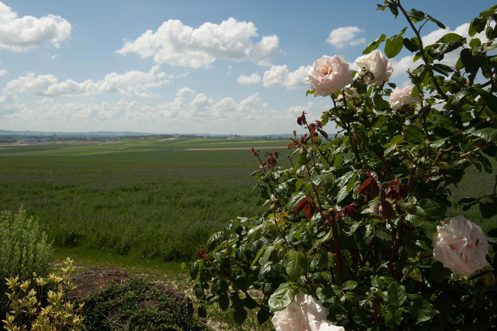 Вілла Happy Cernay-les-Reims Екстер'єр фото